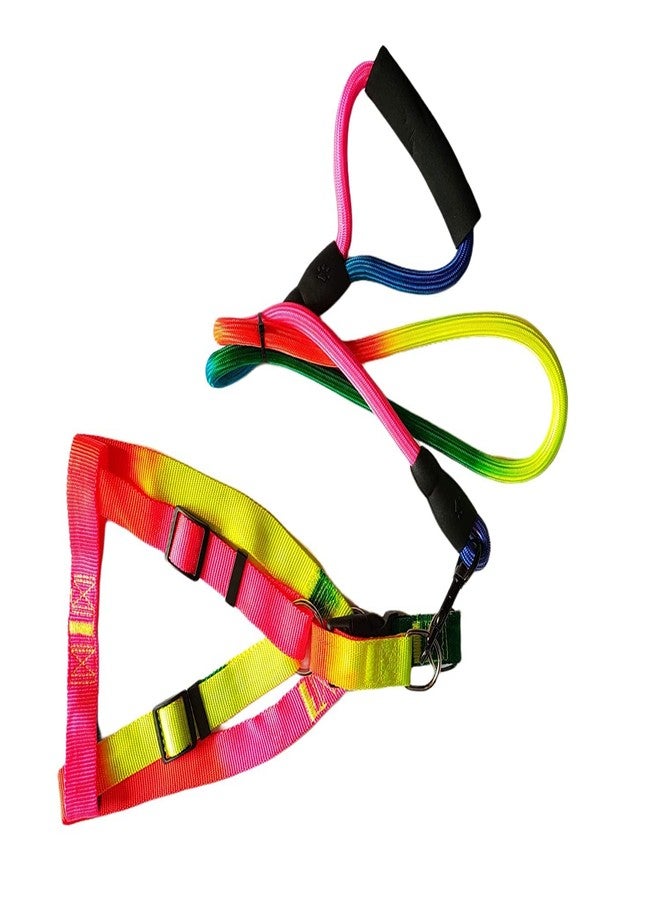 Pups&Pets طقم سرج صدر قابل للتعديل ومقود للكلاب من Pups&Pets | سرج آمن من النايلون بألوان قوس قزح، مقاس 1 بوصة، مع مقود للكلاب متوسطة الحجم (قابل للتعديل من 46 إلى 68 سم) - Image 2